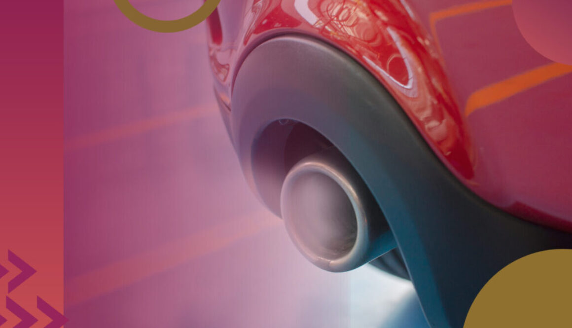 vehicle emissions ate