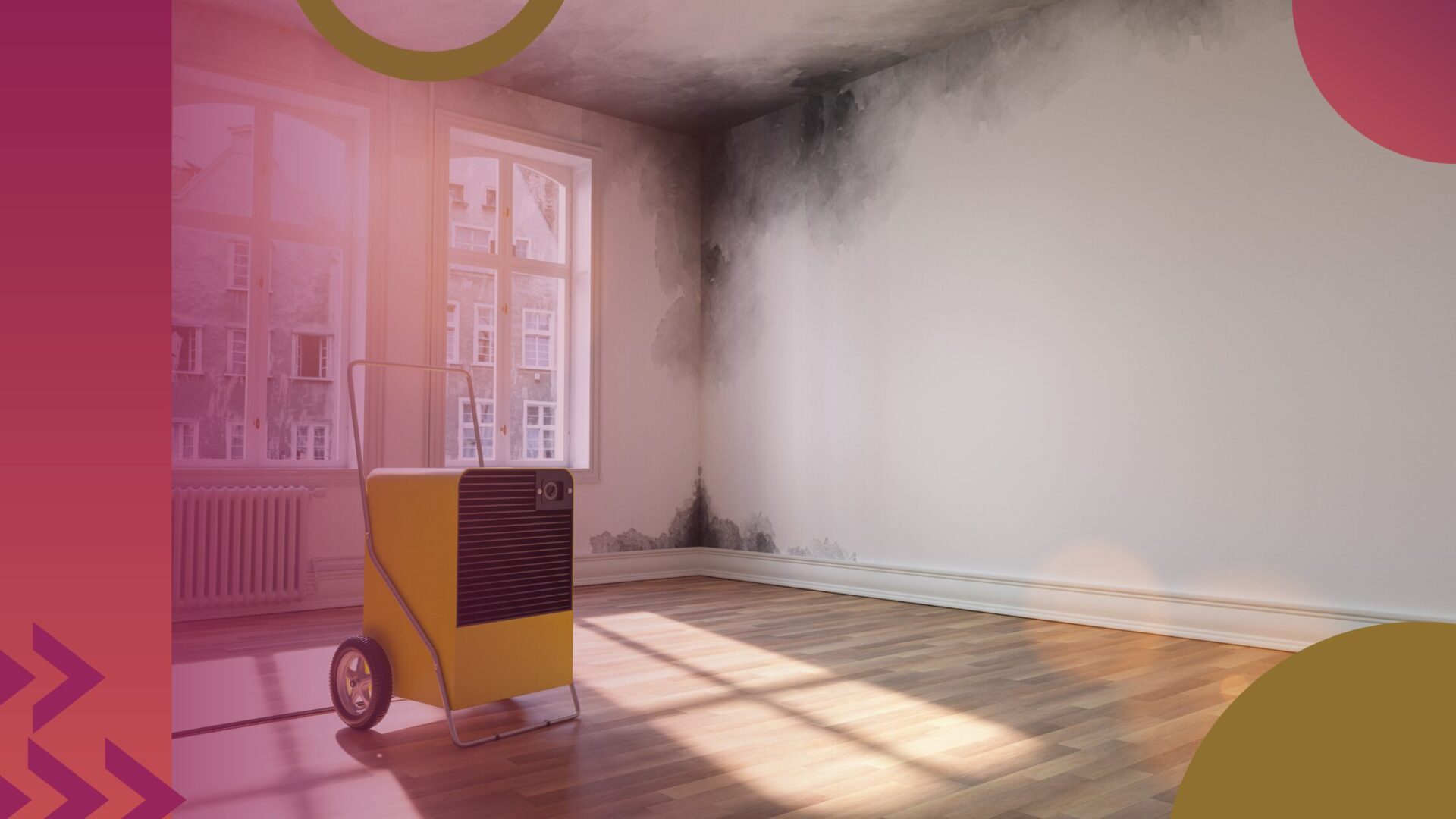 Housing Disrepair Claims are on the rise – are you and your clients protected?