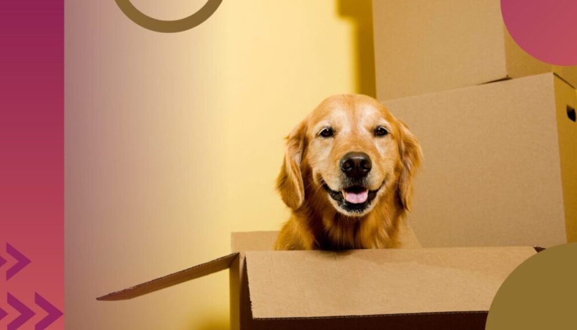 Prosperity Insurance partners with 4Corners Property A